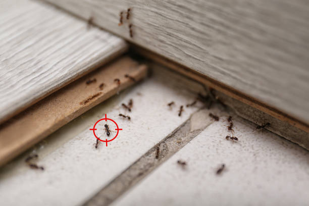 Best Wildlife Control Services  in Baltimore, OH
