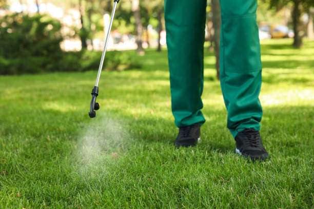 Best Cockroach Control Services  in Baltimore, OH