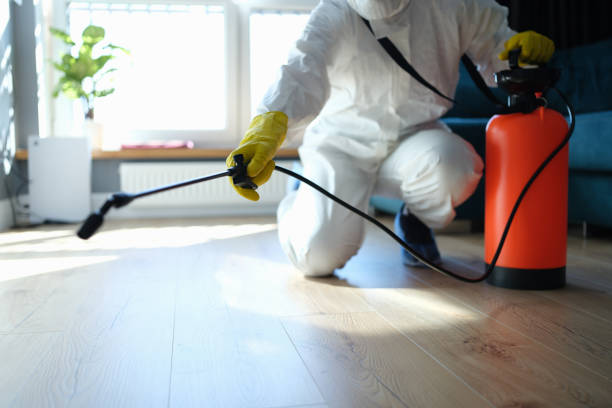 Best Local Pest Control Services  in Baltimore, OH