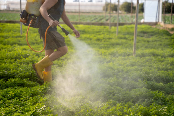 Best Pest Prevention Services  in Baltimore, OH