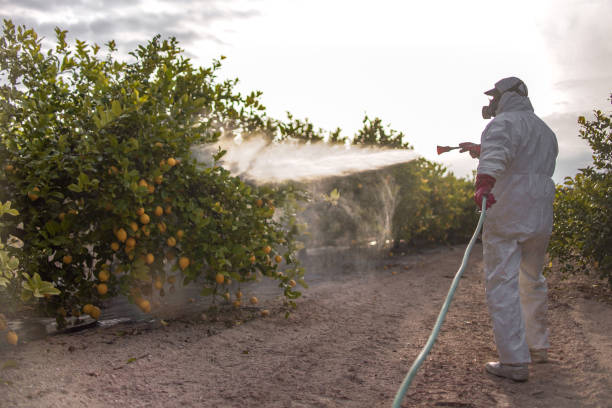 Best Exterminator Services  in Baltimore, OH