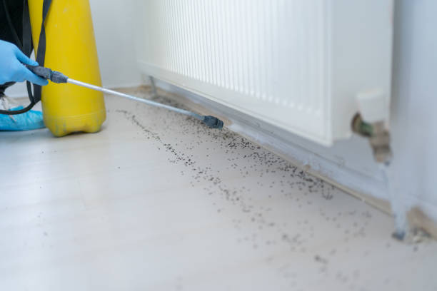 Best Mosquito Control Services  in Baltimore, OH