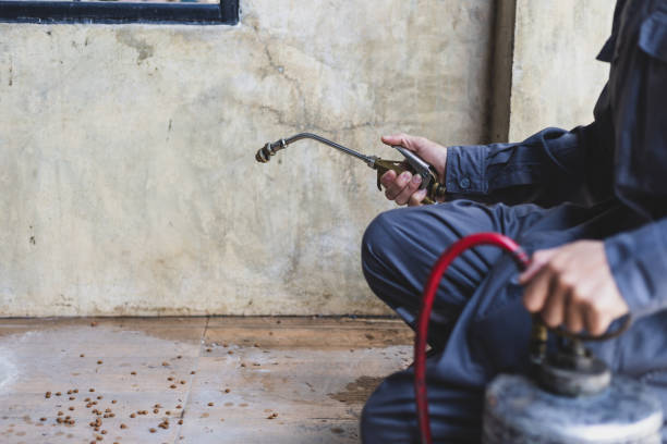 Best Affordable Pest Control Services  in Baltimore, OH